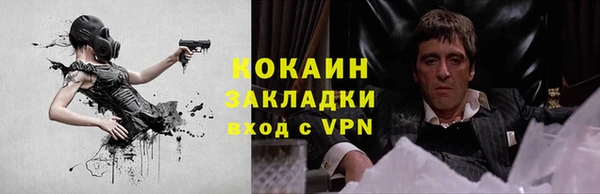 хмурый Алексин