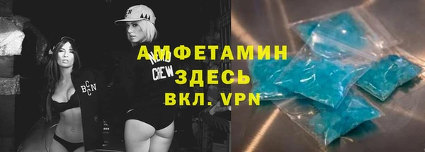 хмурый Алексин