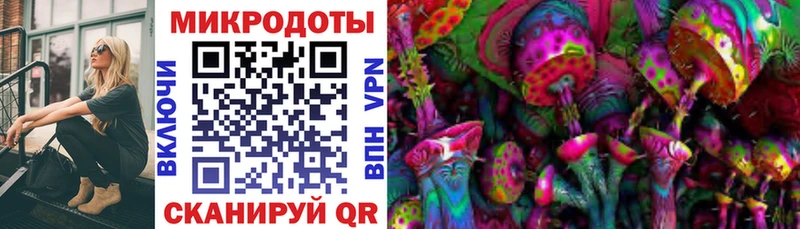 Галлюциногенные грибы MAGIC MUSHROOMS  Сольцы 